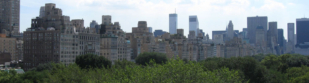 Central Park 5th Avenue